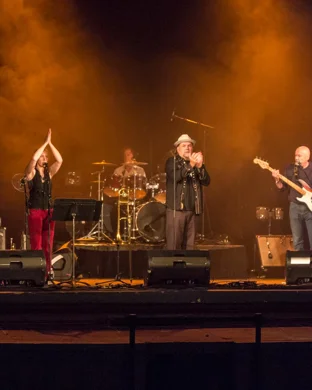 Jon Cleary and the Absolute Monster Gentlemen