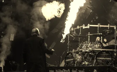 Disturbed
