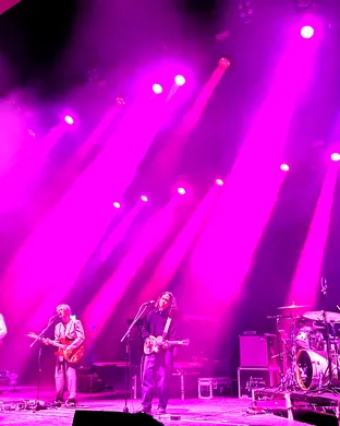 Last Dinosaurs