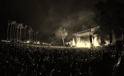 Palm Tree Music Festival