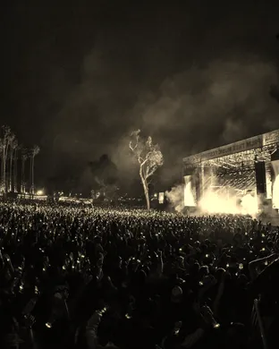 Palm Tree Music Festival - 2 Day Pass