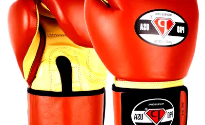 Pro Boxing