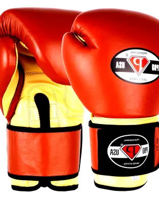 Pro Boxing: Night of Champions
