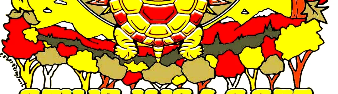 Terrapin Flyer