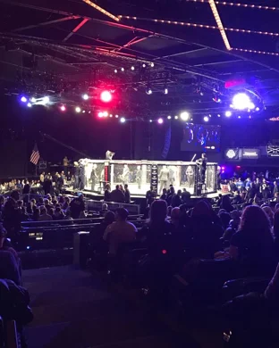 UFC Fight Night: Hernandez vs. Rodrigues sports event