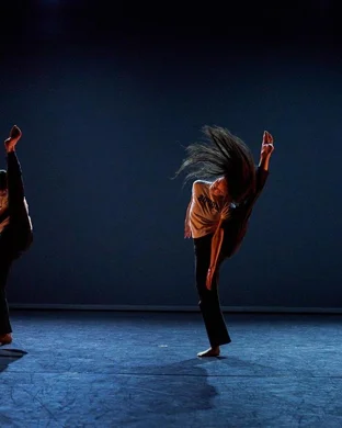 Burn the Floor: Maks & Peta Live theatre performance